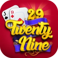 29 Card Game
