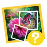 1 Pic 1 Word: What's the word?