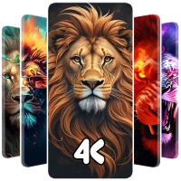 Lion Wallpaper