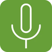 Background voice recorder