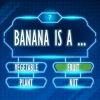 Quiz Games Offline No WIFI Fun