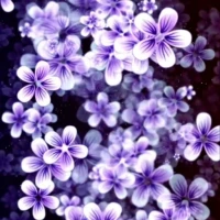 3d Flowers Live Wallpaper