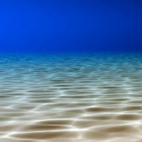Under the Sea Wallpaper Pro