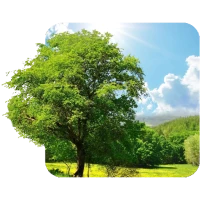 3D Nature Live Wallpaper
