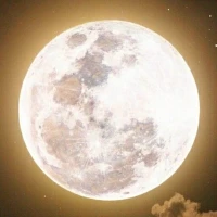 Moon Wallpaper