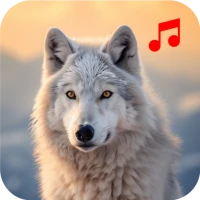 Animal Sounds & Bird Sound App