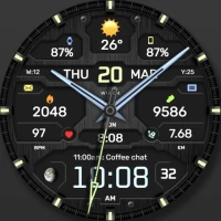 WFP 134 Hybrid watch face