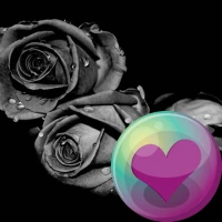 Cool Grey Color HD Wallpapers