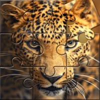 Wild Animals Puzzle Game