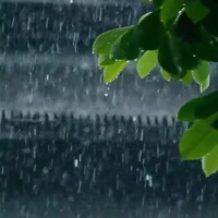 Realistic Rain Live Wallpaper