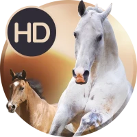 Animals wallpapers for phone