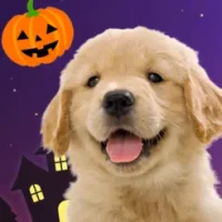 My Dog &amp; Me: Puppy Simulator