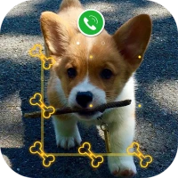 AppLock Live Theme - Corgi