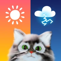 OpenPet - Weather & Cute Cat