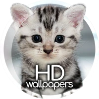 Cute animals wallpapers