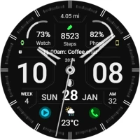 WFP 320 Hybrid watch face