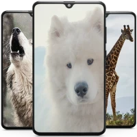 Animal Wallpapers HD