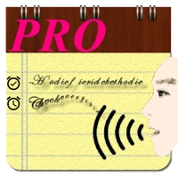 Voice Notes (Pro)