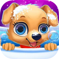 Labrador Puppy Salon Daycare