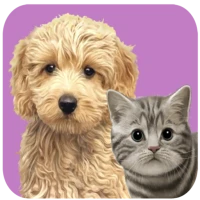 Animal kids dress up fun