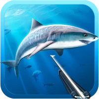 Hunter underwater spearfishing