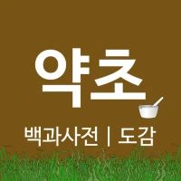 약초 백과사전 도감 - 나물 효능 및 정보 제공