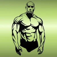 Home Workout - No Equipment