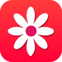 Gallery - Photo Album