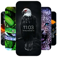 Animal Wallpapers