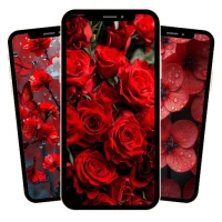 Flowers Live Wallpaper