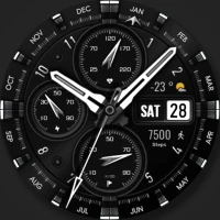 WFP 308 Business watch face