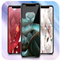 Snake Wallpaper HD 4K