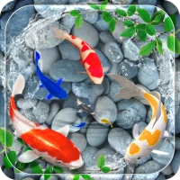 Koi Pet Fish Live Wallpaper