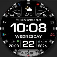 WFP 233 Digital watch face