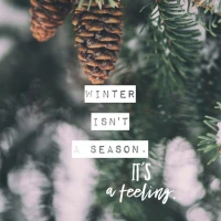 Aesthetic Winter Wallpaper 4K