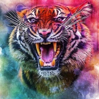 Animal Sounds Ringtones