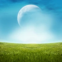 Green Water Live Wallpaper