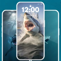 Shark Aesthetic Wallpaper 4K