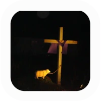 Bible Quiz Chapter By Chapter