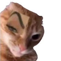 Stickers Memes - WAStickerApps