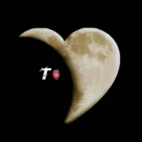 Wallpaper with letters