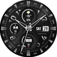 WFP 304 Business watch face