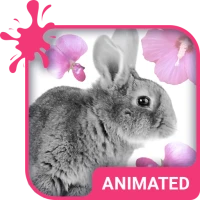 Cute Bunny Wallpaper Theme