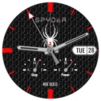 HJ Spyder WatchFace