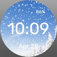 Winter - Watch Face