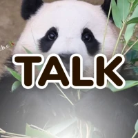 푸바오 대나무 카톡테마