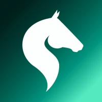 Horsefy: Horses and riding
