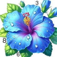 Nature Calm Paint by Numbers