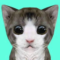 Cat Simulator Online