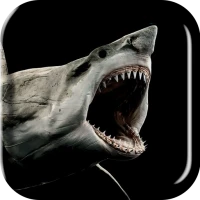 Shark 3D Live Wallpaper